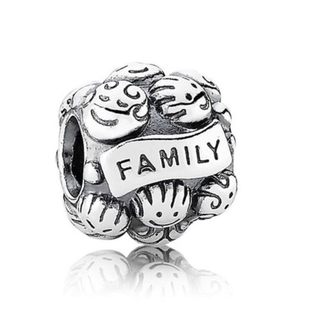PANDORA Love & Family Charm 791039